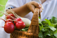 Чем опасны нитраты в продуктах Чем опасны нитраты в продуктах